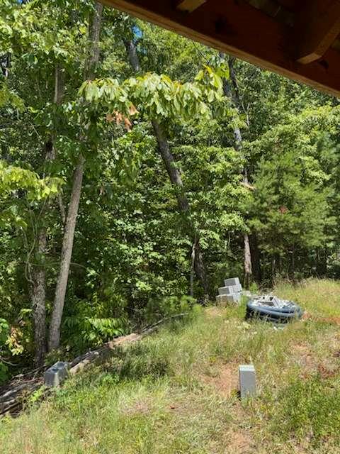 220 Friendship Trail Talking Rock, GA 30175 - Photo 17 of 18 a view of a swimming pool and trees
