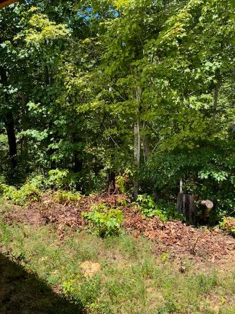 220 Friendship Trail Talking Rock, GA 30175 - Photo 18 of 18 a view of a yard with plants and large trees