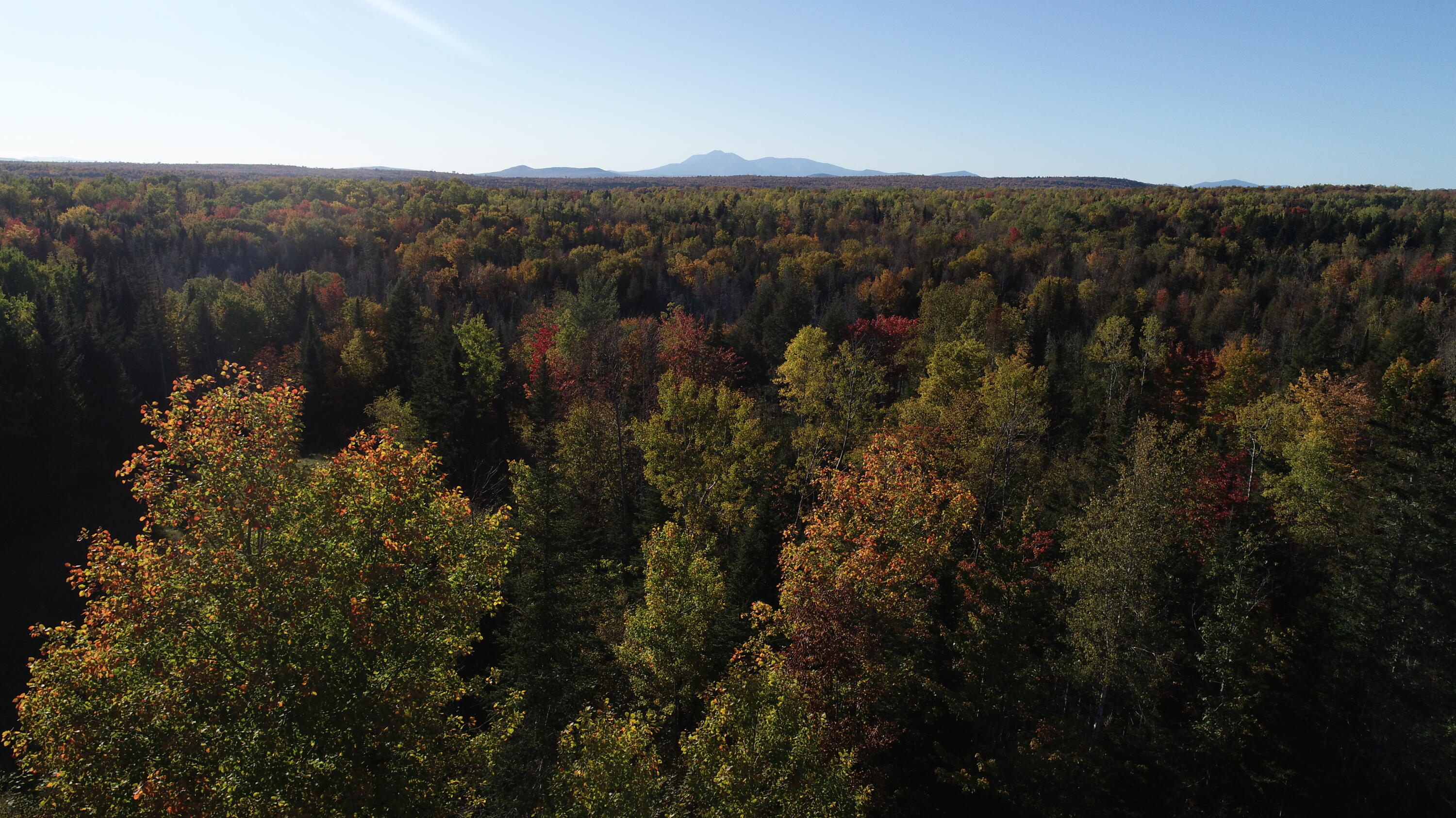 715 Benedicta Road Benedicta, ME 04733 - Photo 20 of 31 DJI_0073