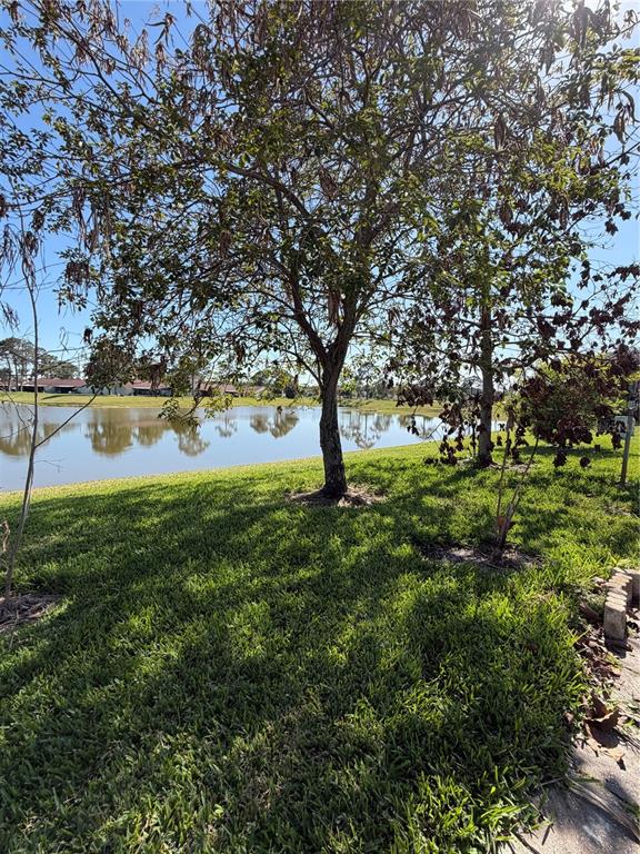 36 Lakepointe Circle Kissimmee, FL 34743 - Photo 43 of 44