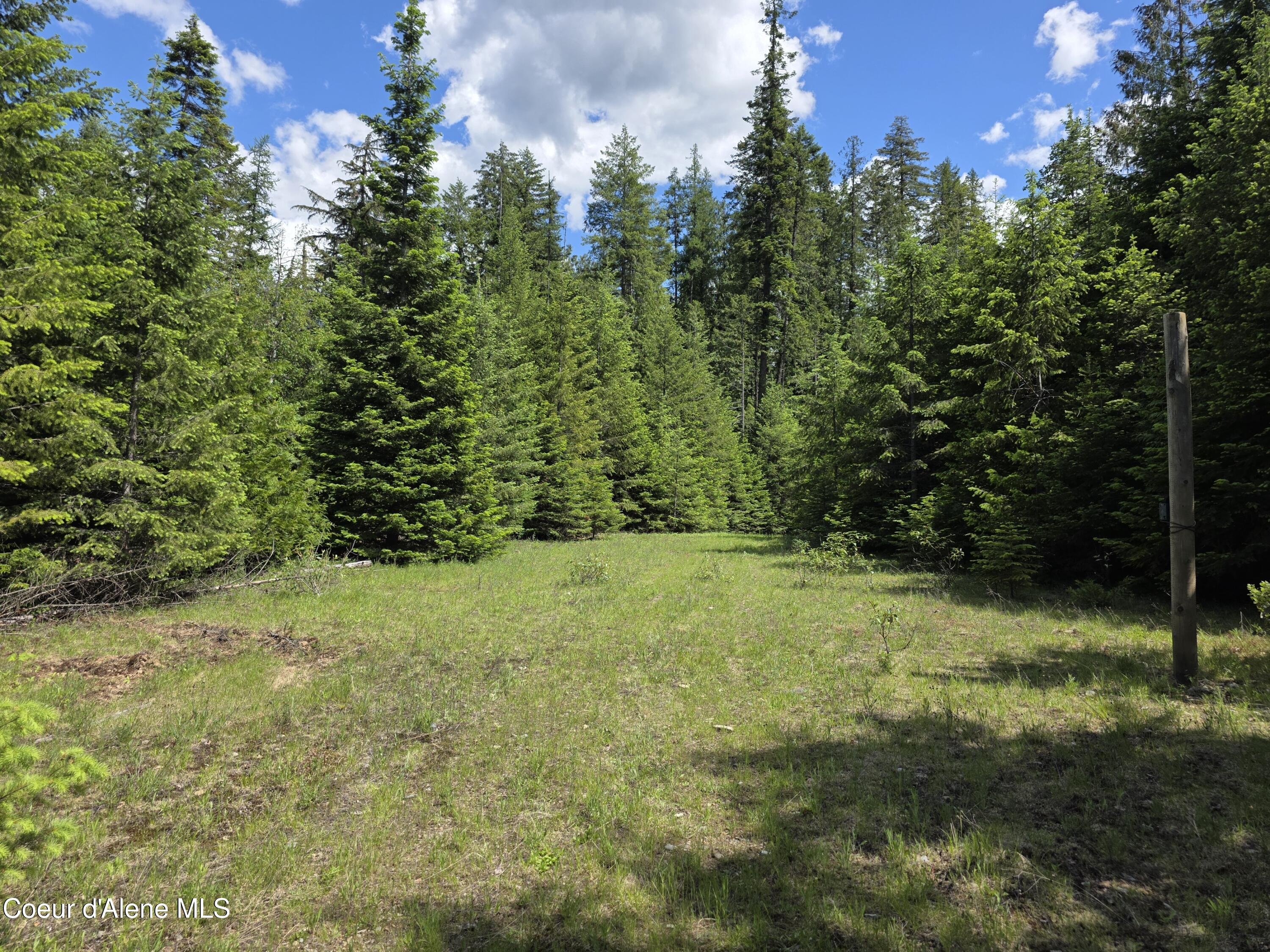5784 River Road Clark Fork, ID 83811 - Photo 20 of 38 More access roads