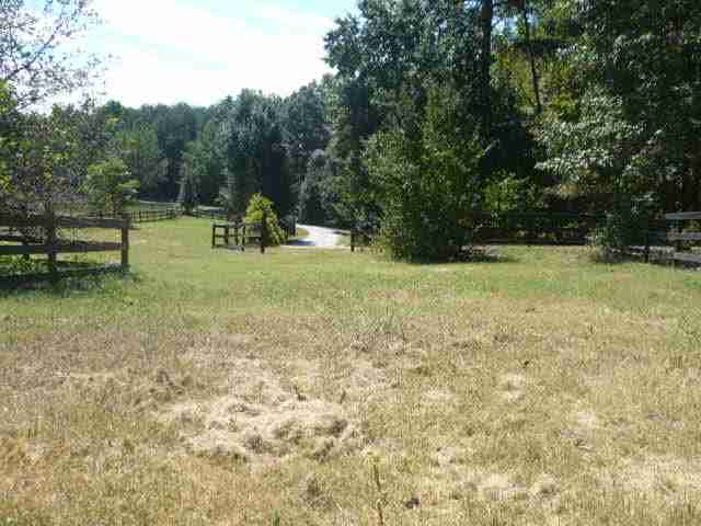 2148 Mt Lebanon Road Campobello, SC 29322 - Photo 8 of 18 Gallery Image 8
