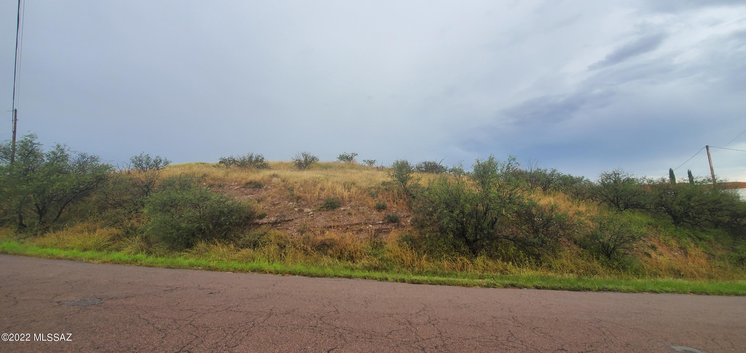 1439 Circulo Sombrero, Unit 14 Rio Rico, AZ 85648 - Photo 3 of 8