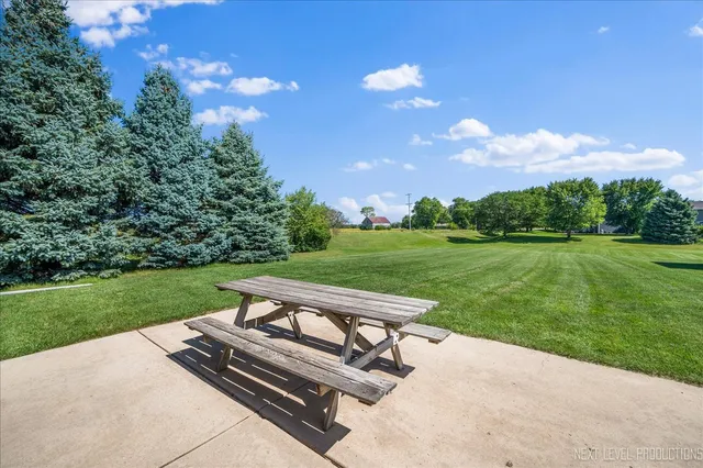 a park view with a bench