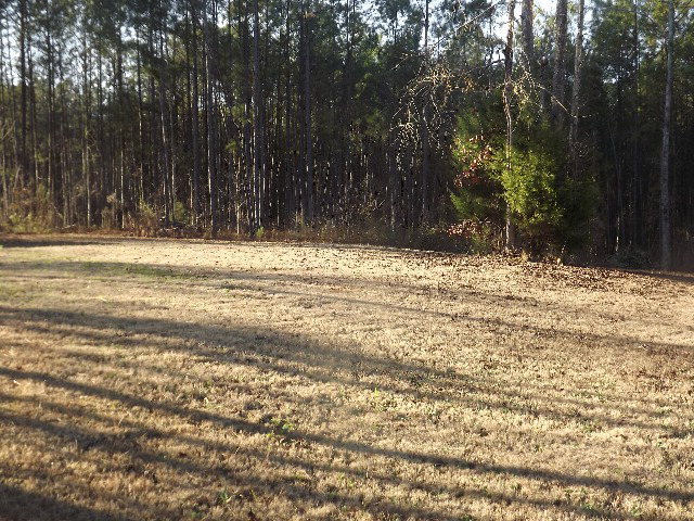 249 McCowan Road Forsyth, GA 31029 - Photo 10 of 26 Additional Photo