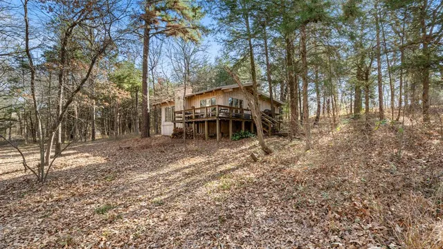 a view of a yard with large trees