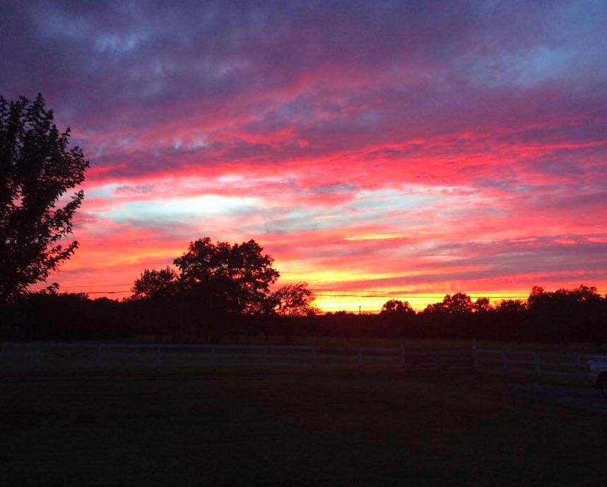 567 Cranor Road Murfreesboro, TN 37130 - Photo 5 of 6