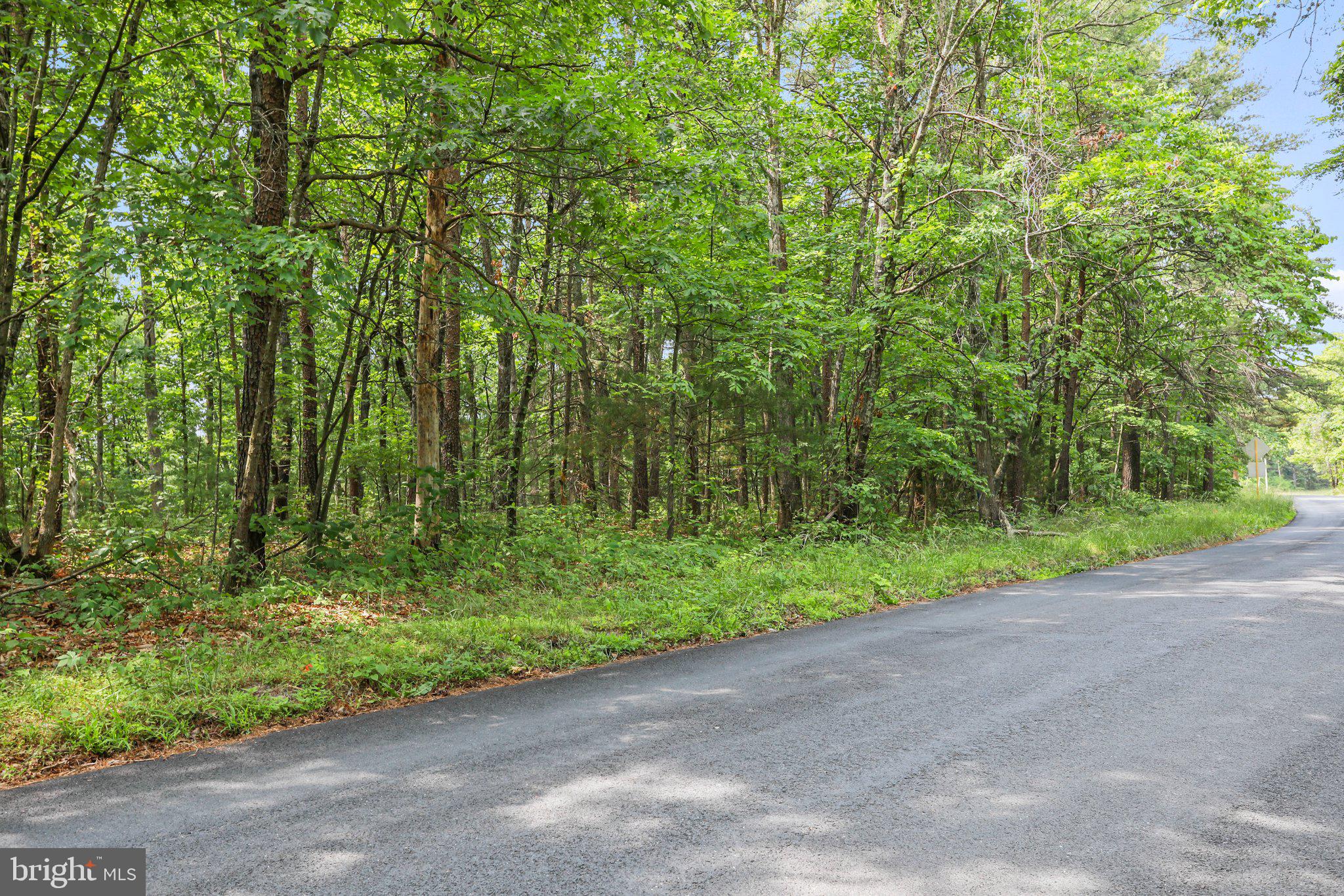 Suplinlick Ridge Mount Jackson, VA 22842 - Photo 1 of 22