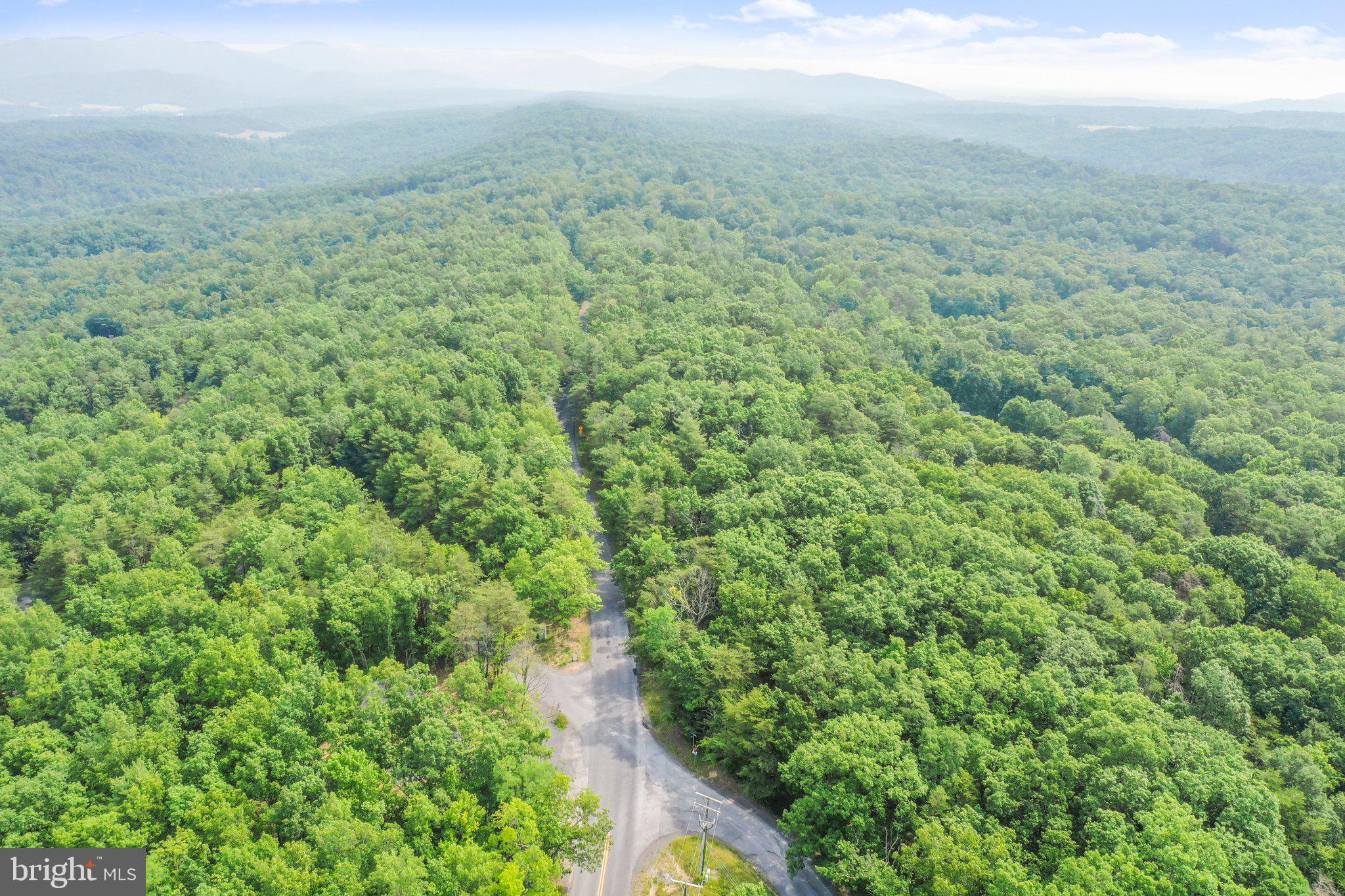 Suplinlick Ridge Mount Jackson, VA 22842 - Photo 14 of 22