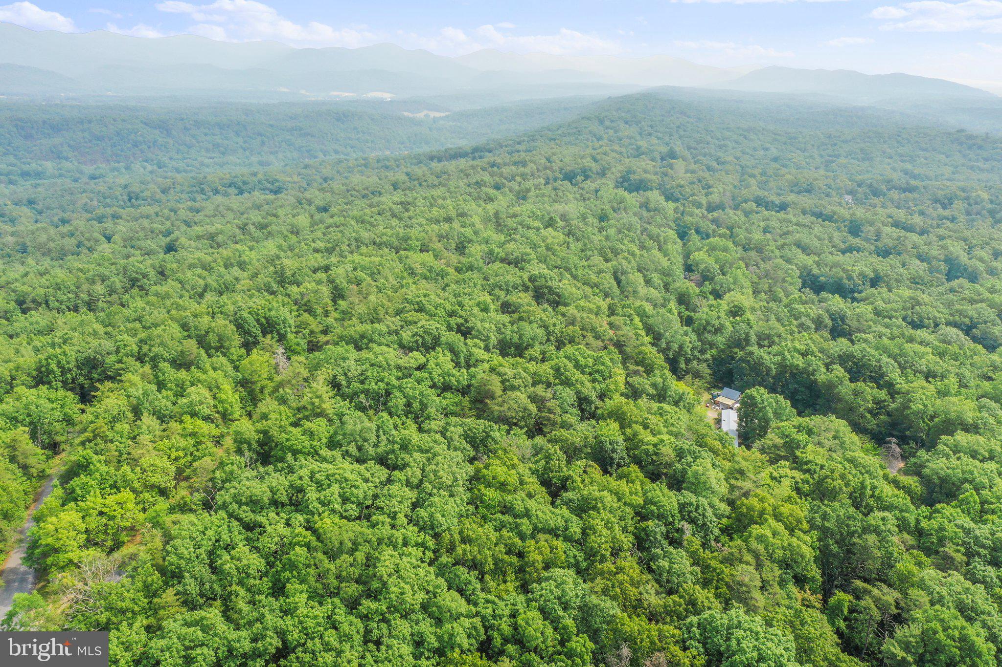 Suplinlick Ridge Mount Jackson, VA 22842 - Photo 15 of 22