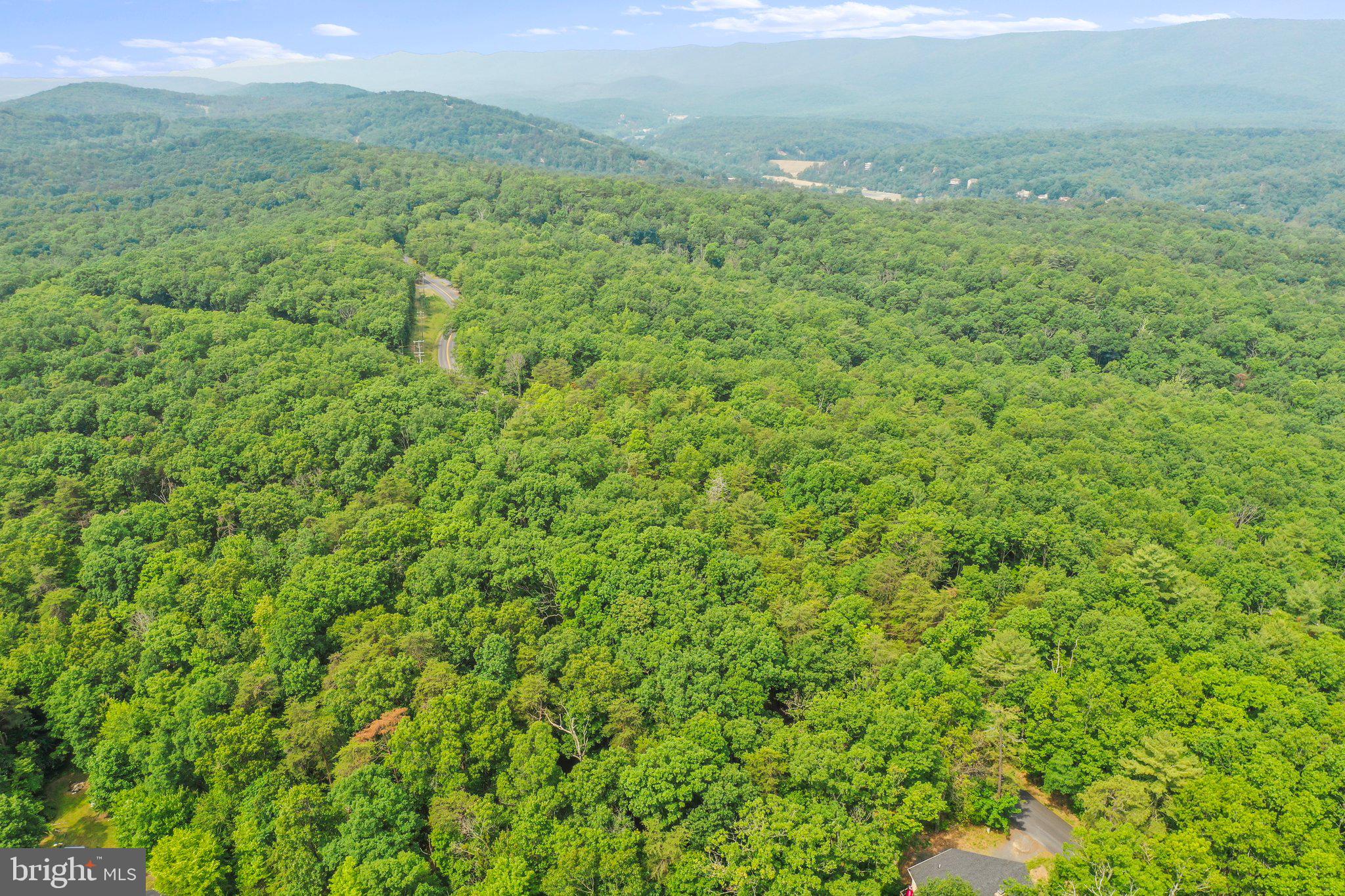 Suplinlick Ridge Mount Jackson, VA 22842 - Photo 19 of 22