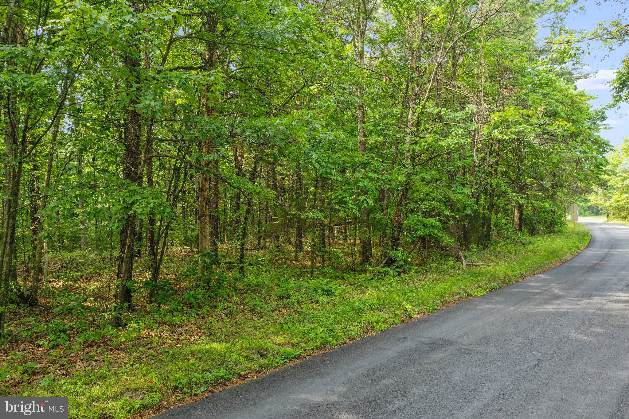 Suplinlick Ridge Mount Jackson, VA 22842 - Photo 3 of 22