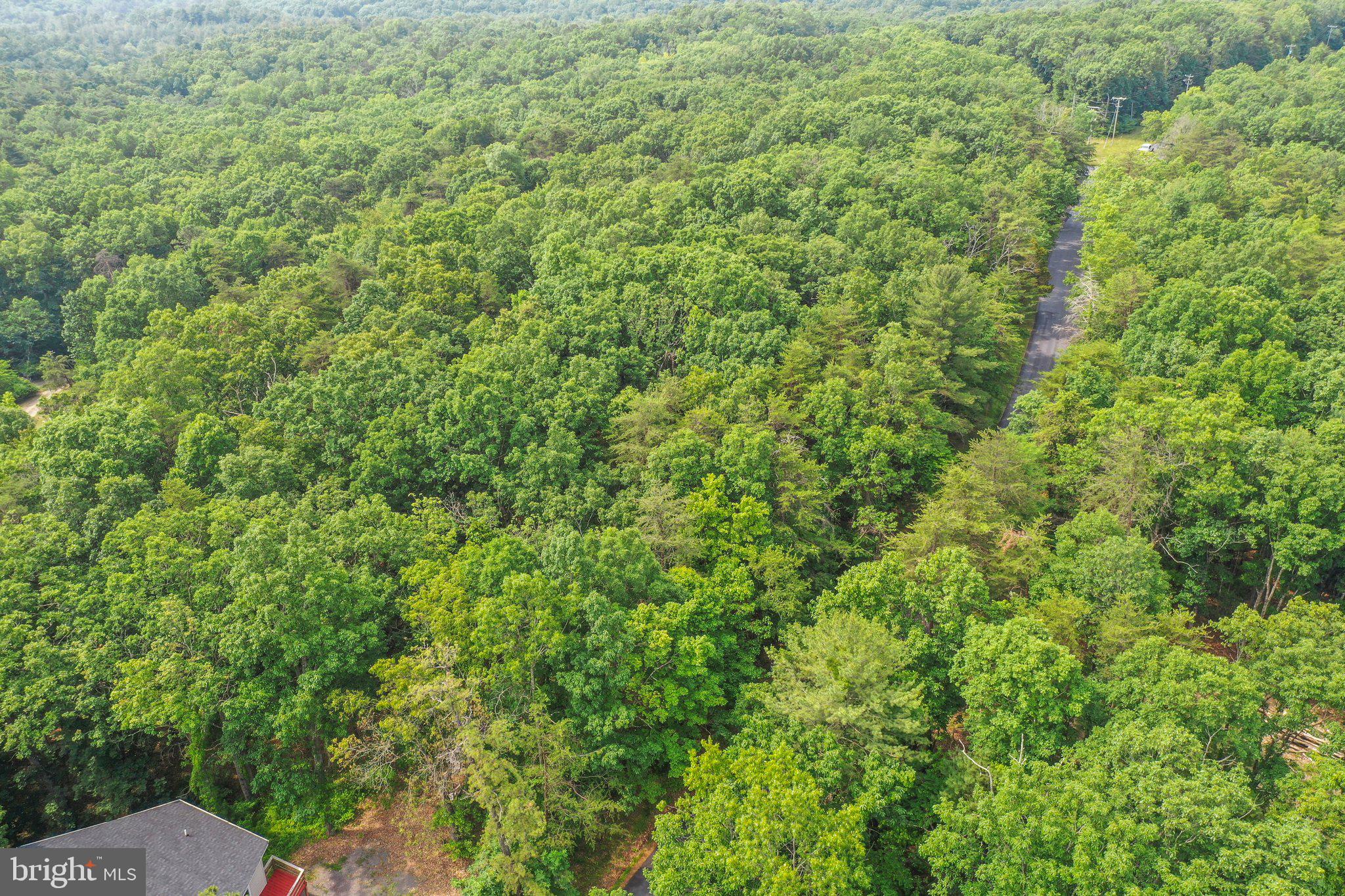 Suplinlick Ridge Mount Jackson, VA 22842 - Photo 6 of 22