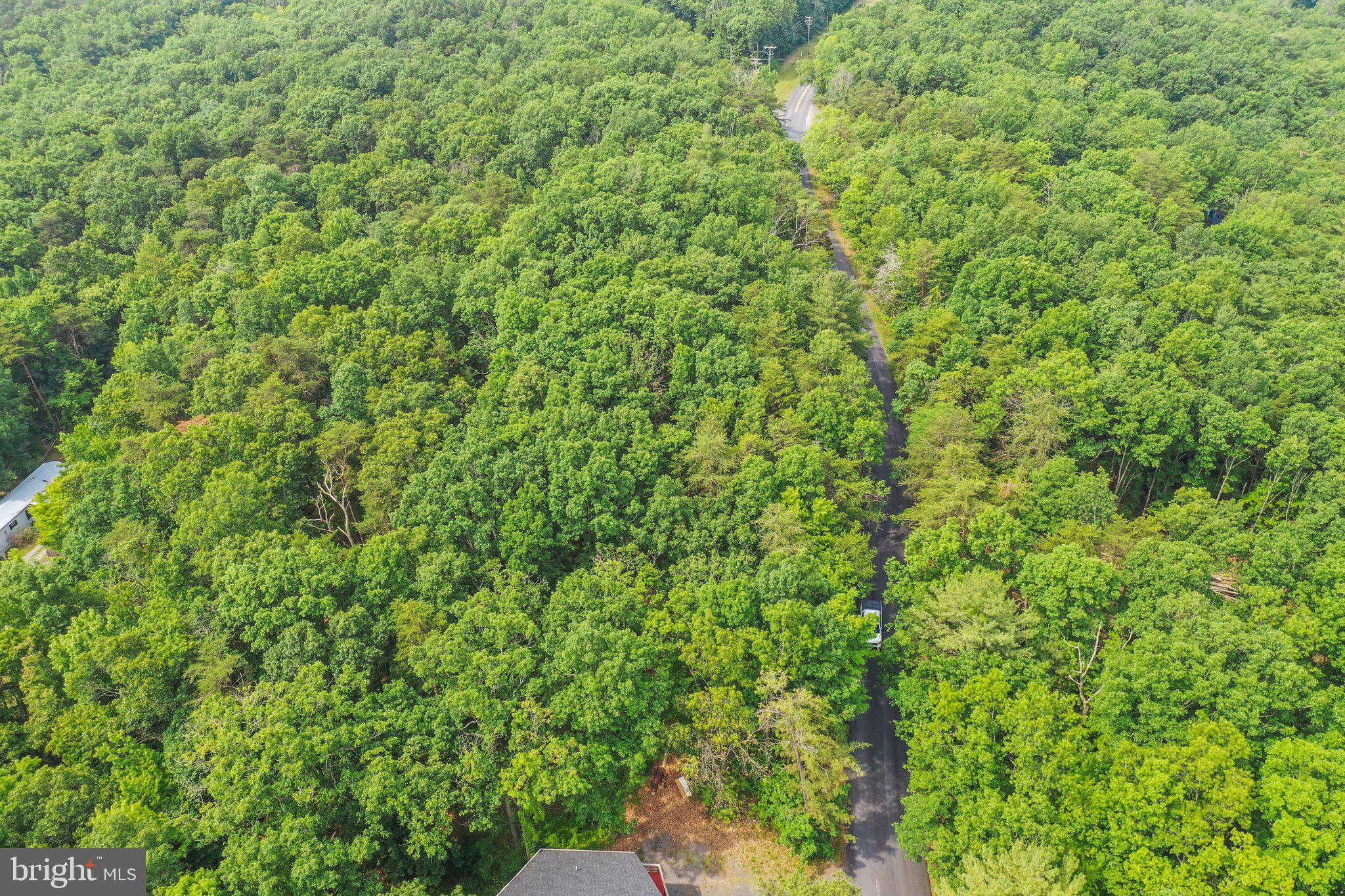 Suplinlick Ridge Mount Jackson, VA 22842 - Photo 7 of 22