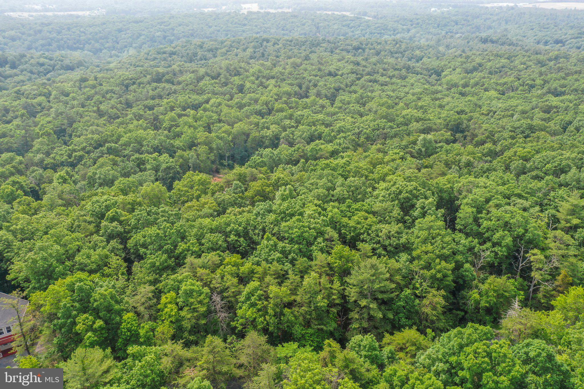 Suplinlick Ridge Mount Jackson, VA 22842 - Photo 8 of 22