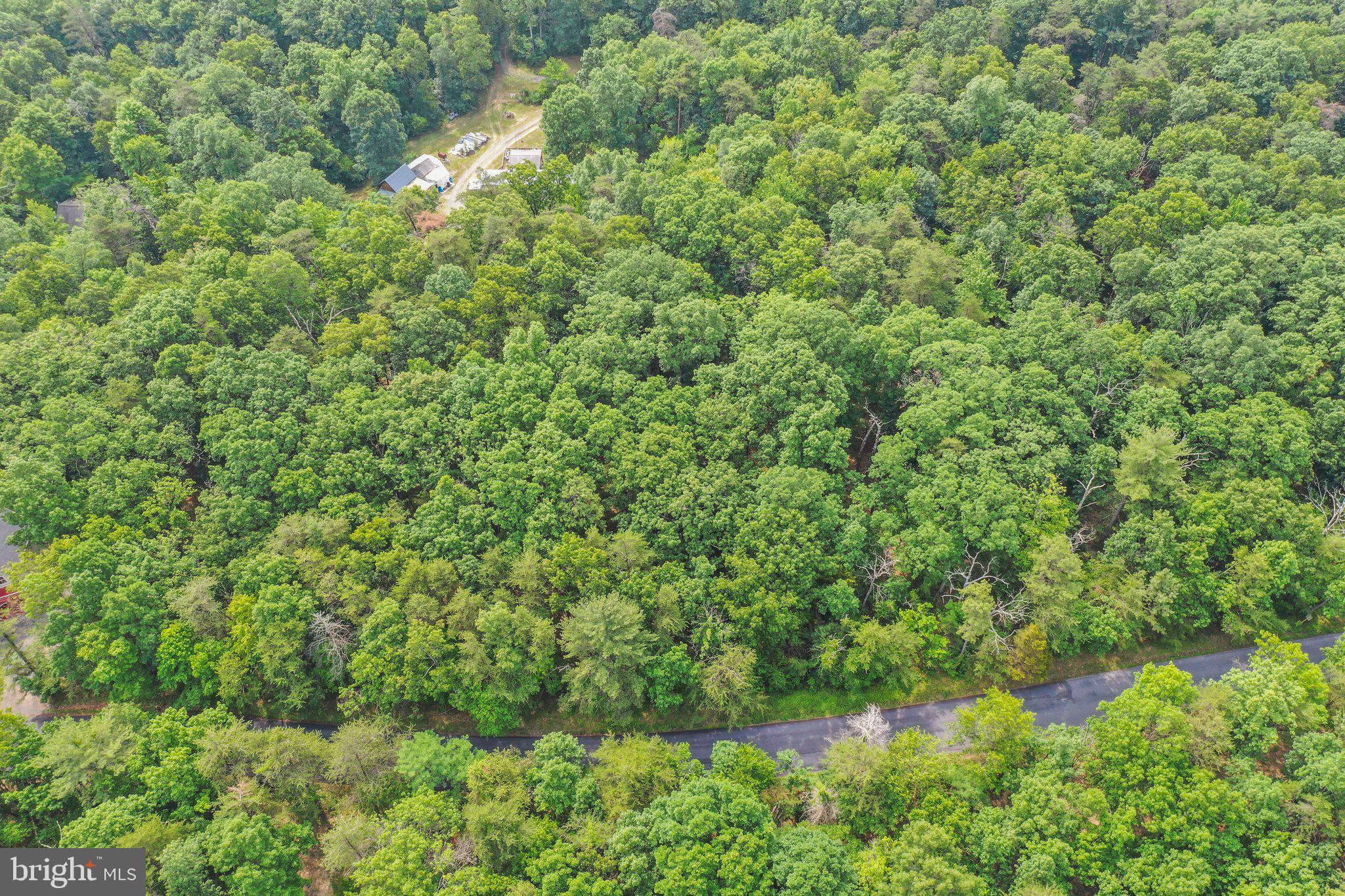 Suplinlick Ridge Mount Jackson, VA 22842 - Photo 9 of 22