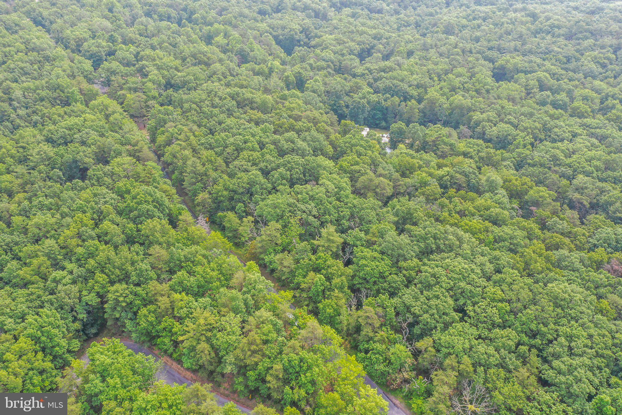 Suplinlick Ridge Mount Jackson, VA 22842 - Photo 10 of 22