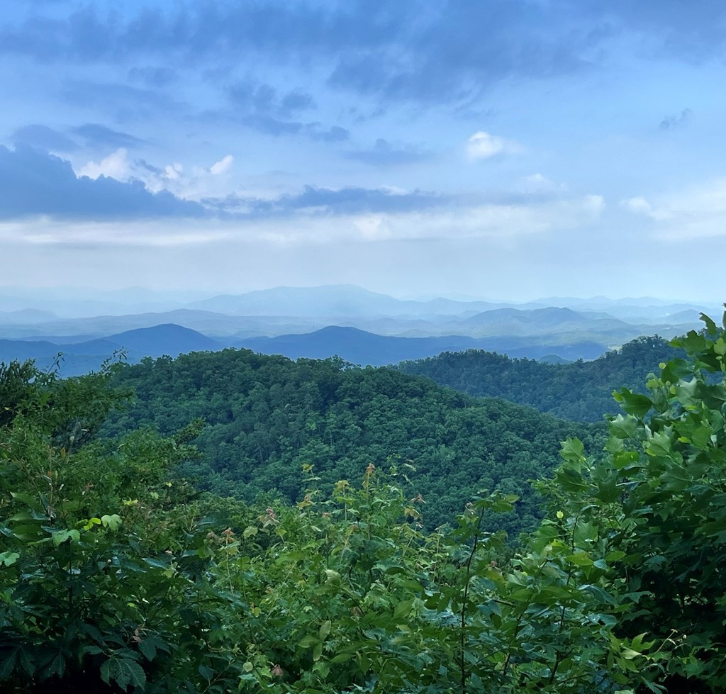 1081 Cove Road, Unit U1023 Sevierville, TN 37876 - Photo 18 of 20