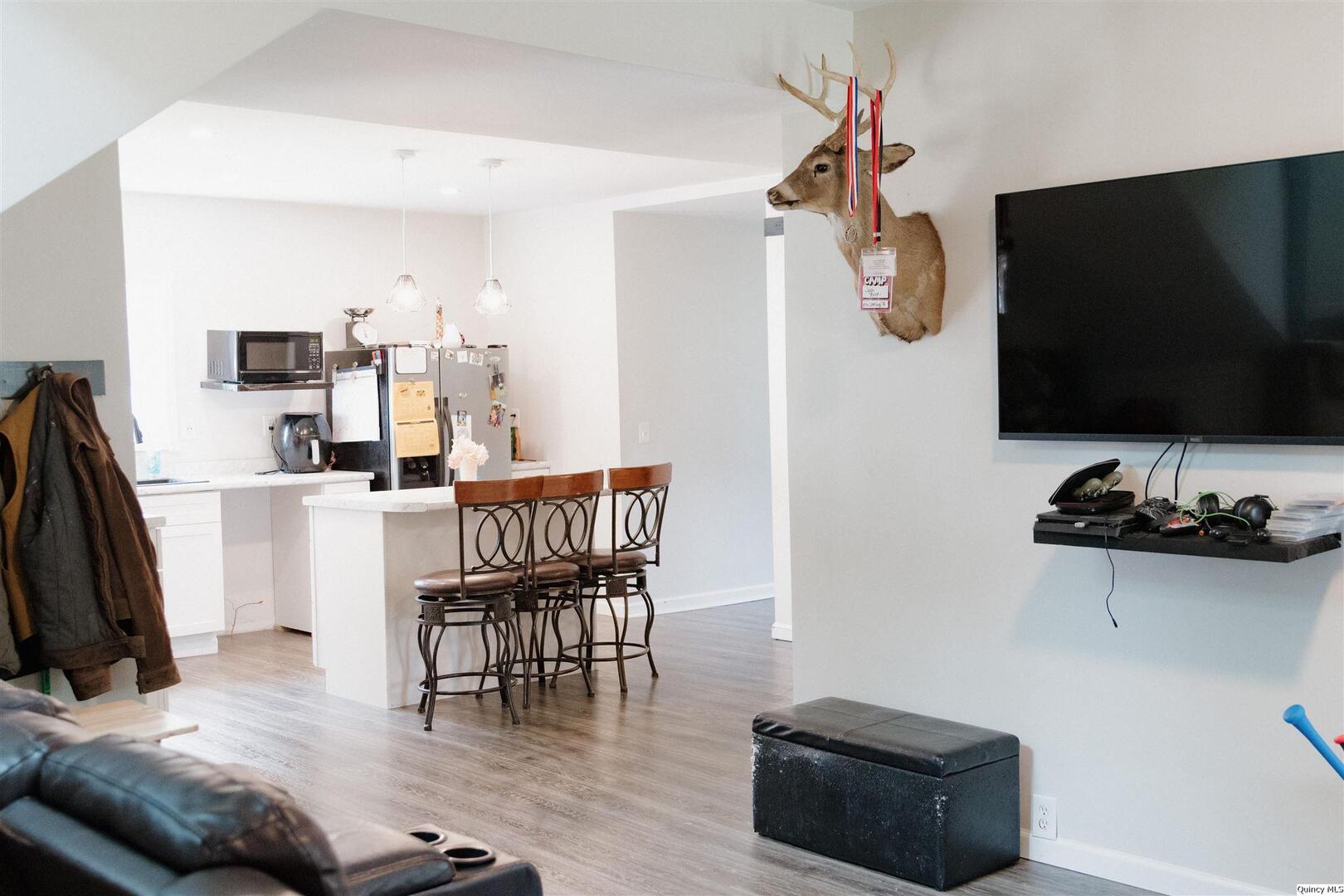 410 South Park Street Golden, IL 62339 - Photo 4 of 12 a living room with furniture and a flat screen tv