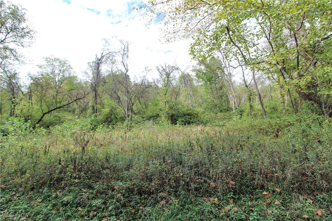 Lot 3 Brooks Road Reno, OH 45773 - Photo 4 of 17 View of wooded area