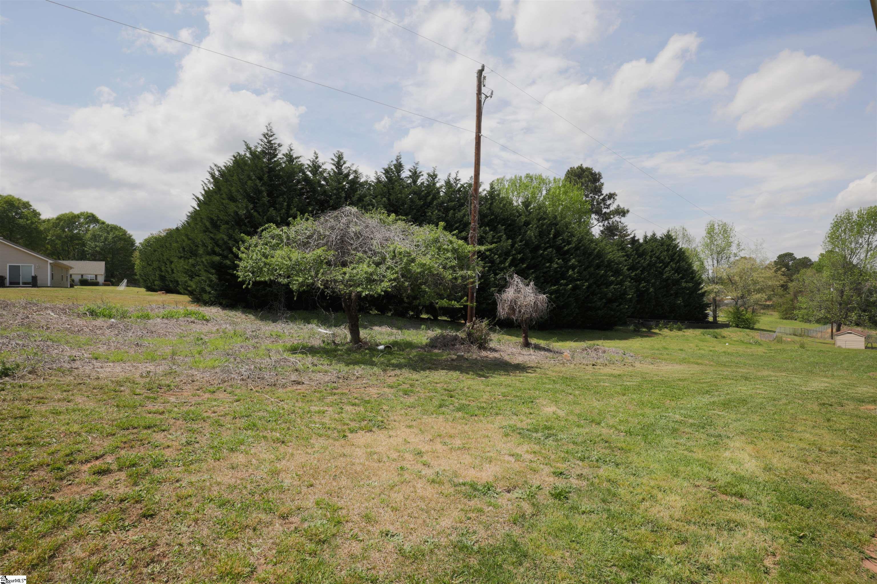 236 Ranier Drive Inman, SC 29349 - Photo 11 of 12