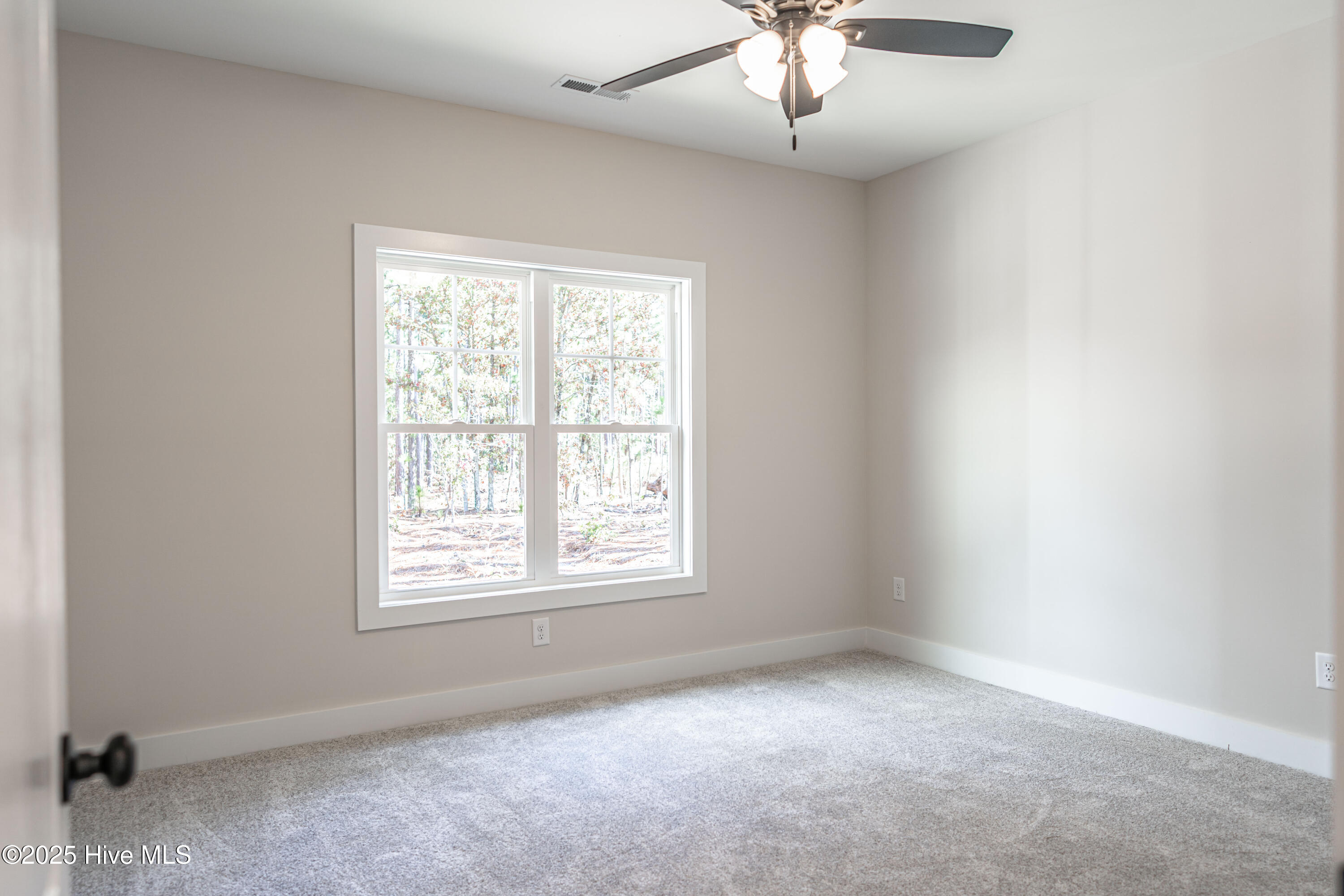 115 Sandy Place Pinebluff, NC 28373 - Photo 24 of 42 DSC04050