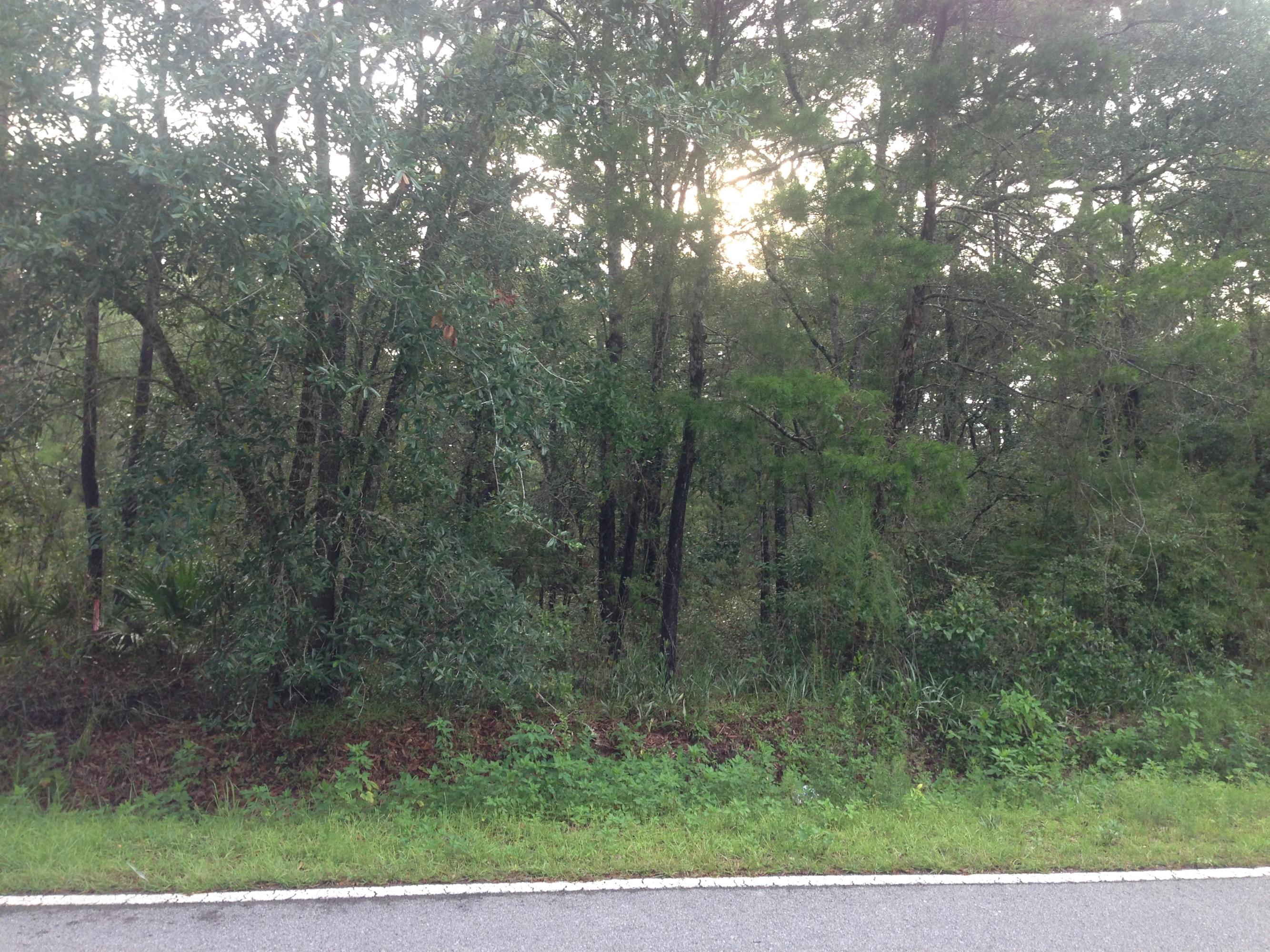 Lot 34 Ricker Avenue Santa Rosa Beach, FL 32459 - Photo 1 of 1 Gallery Image 1