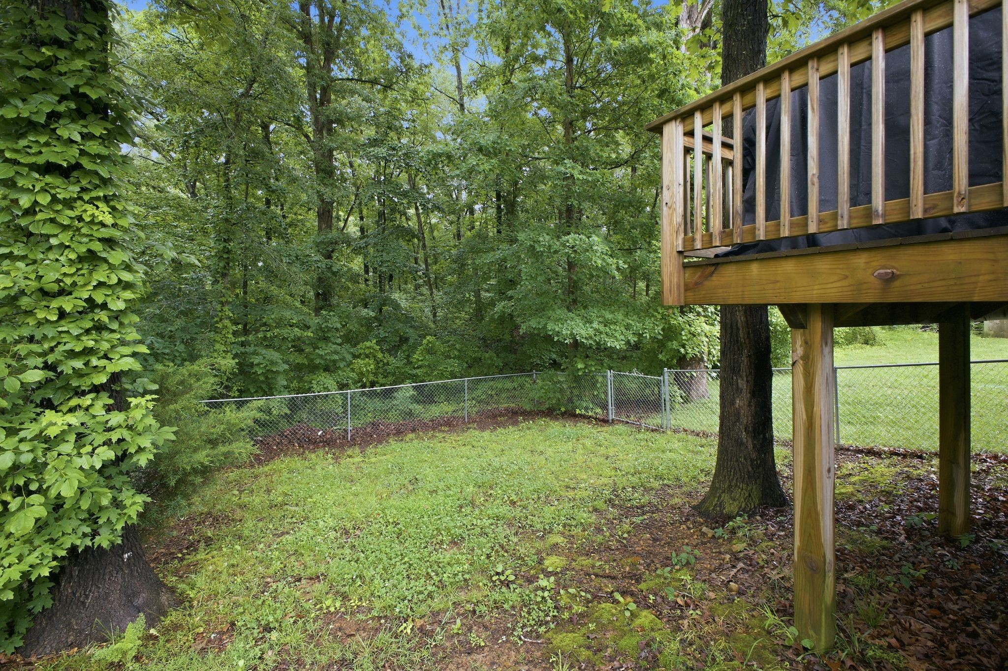 109 Mangrum Road Bon Aqua, TN 37025 - Photo 23 of 29