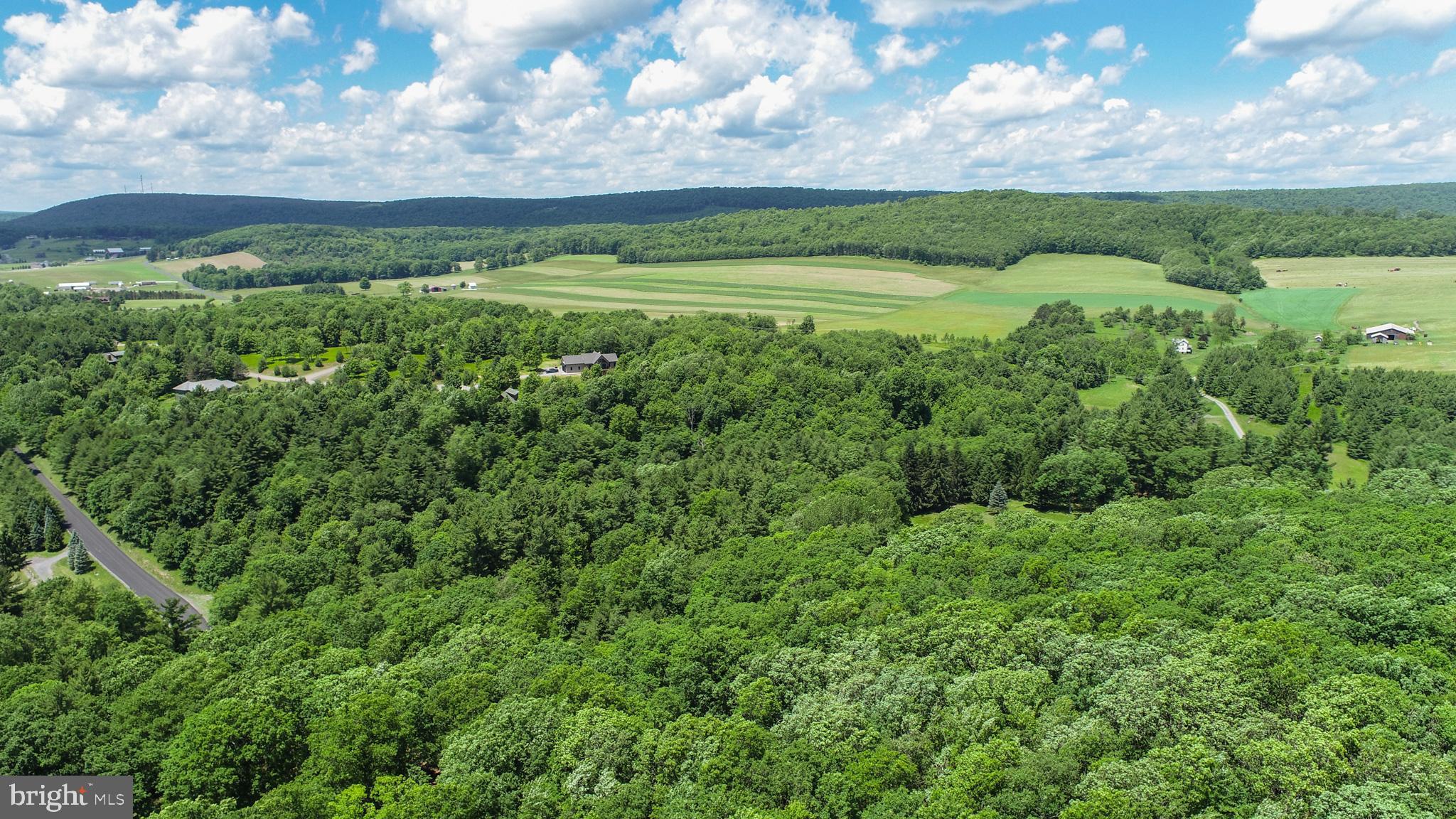 North Glade Road Swanton, MD 21561 - Photo 8 of 16