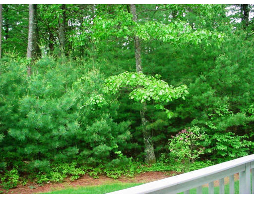 12 Tall Tree Way Georgetown, MA 01833 - Photo 15 of 15 Gallery Image 15