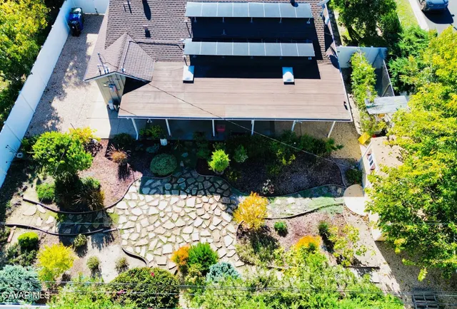 a view of a yard with plants