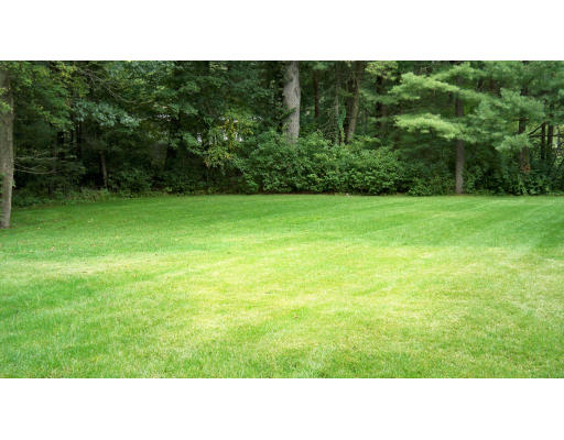 35 Marked Tree Road Sudbury, MA 01776 - Photo 2 of 12 a open area with trees in the background