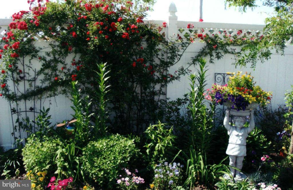 605 Sand Road Severn, MD 21144 - Photo 26 of 30 an outdoor space with plants