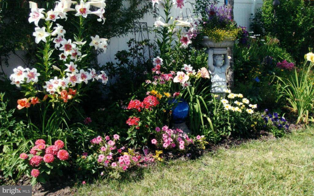 605 Sand Road Severn, MD 21144 - Photo 28 of 30 a view of a flower in a yard