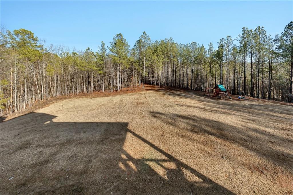 2680 Conns Creek Road Ball Ground, GA 30107 - Photo 52 of 61