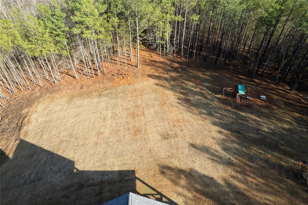 2680 Conns Creek Road Ball Ground, GA 30107 - Photo 53 of 61