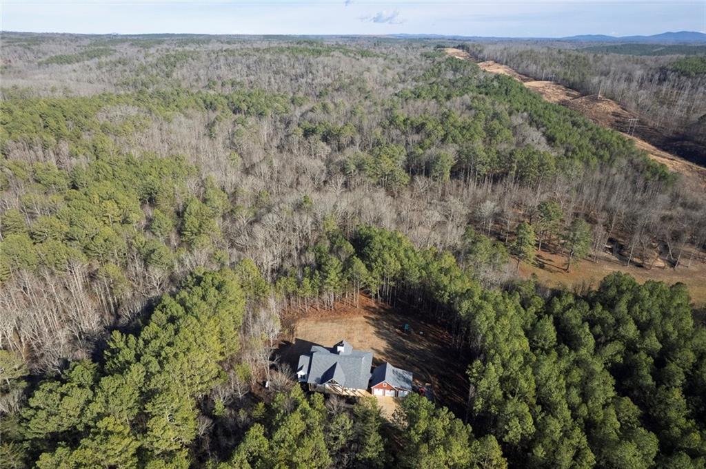 2680 Conns Creek Road Ball Ground, GA 30107 - Photo 58 of 61