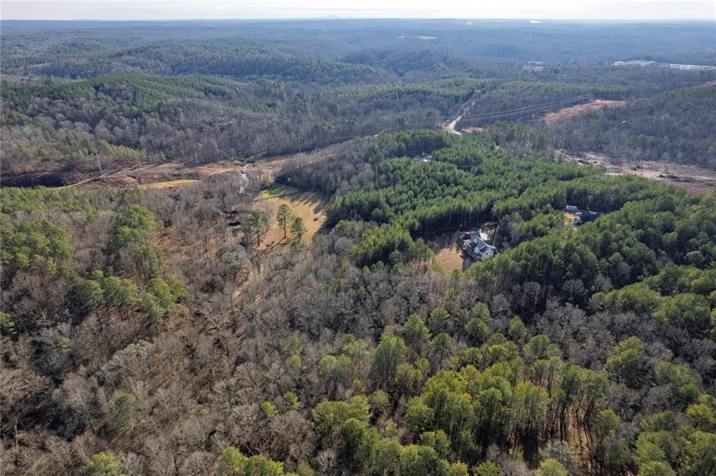 2680 Conns Creek Road Ball Ground, GA 30107 - Photo 60 of 61