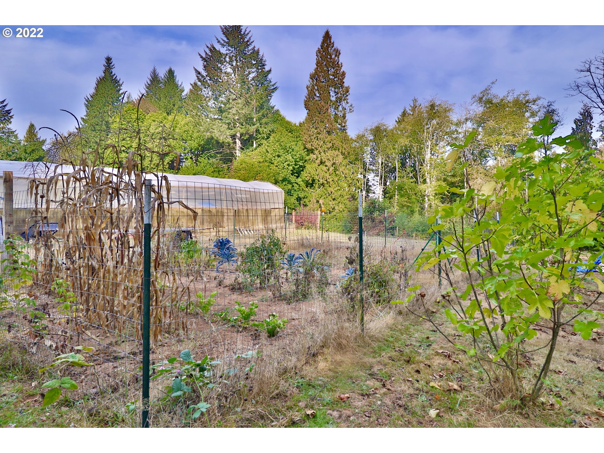 37235 Southeast Lusted Road Boring, OR 97009 - Photo 27 of 30 a view of a garden
