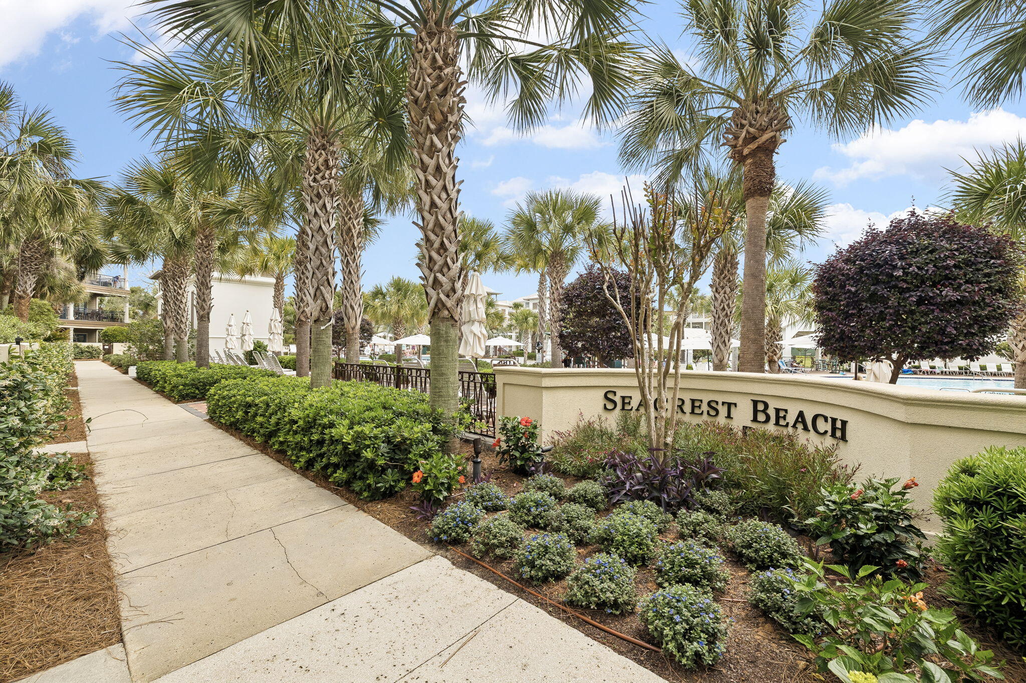 42 Seacrest Beach Boulevard West Inlet Beach, FL 32461 - Photo 48 of 54 Seacrest Beach landscaping