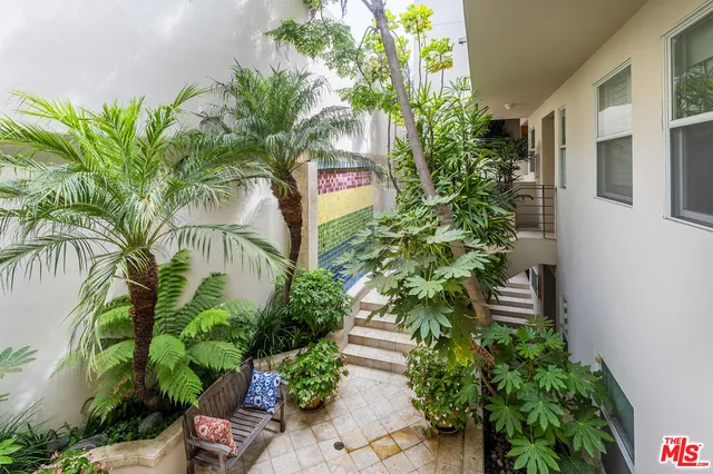 a plant is in a garden of a house