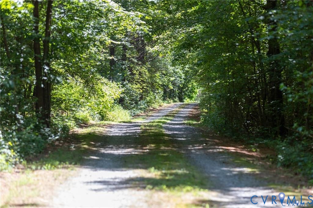 3230 Richmond Road Amelia Court House, VA 23002 - Photo 2 of 6 a view of a trees with yard