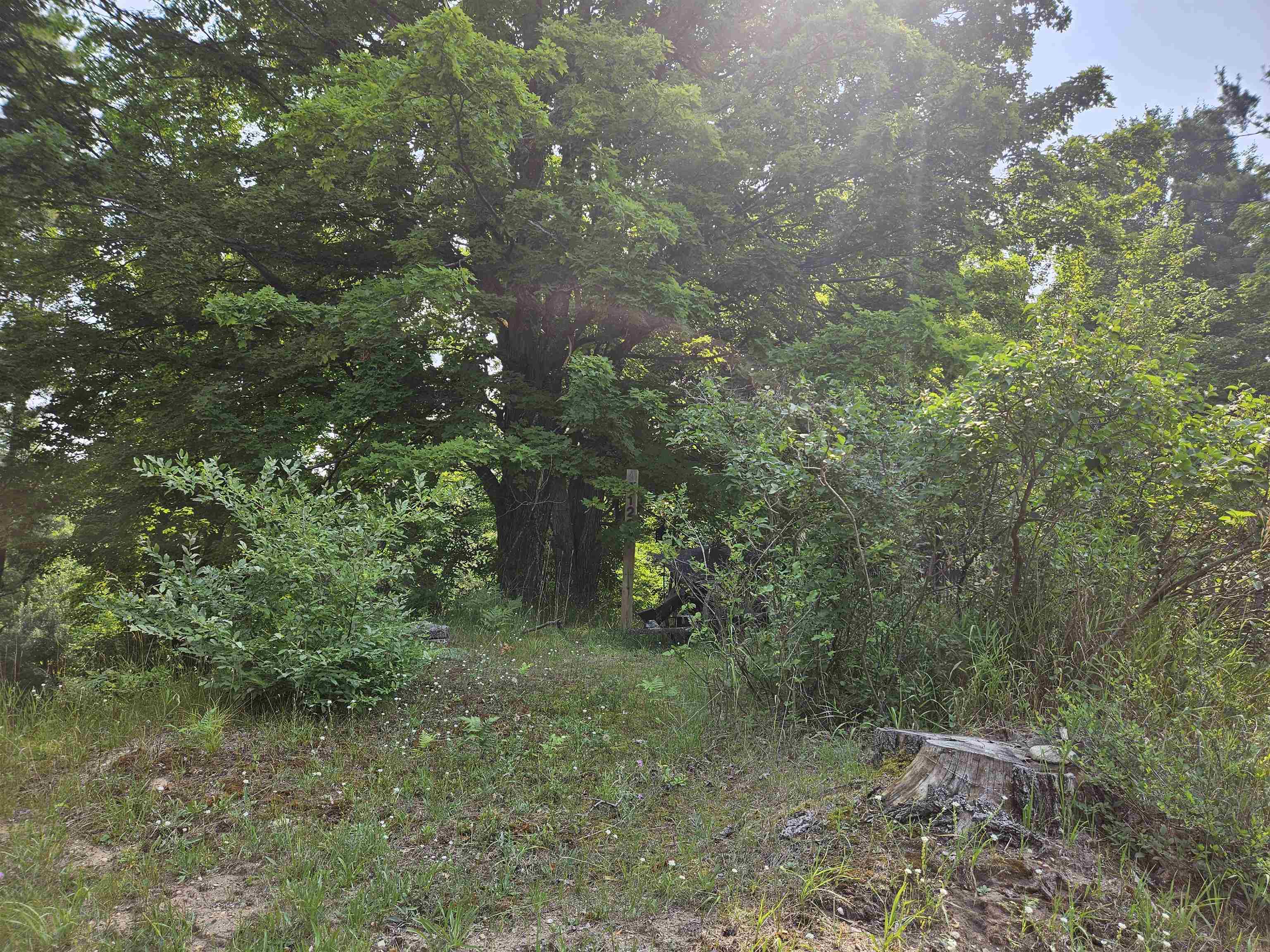 11268 Watson Road Williamsburg, MI 49690 - Photo 19 of 57