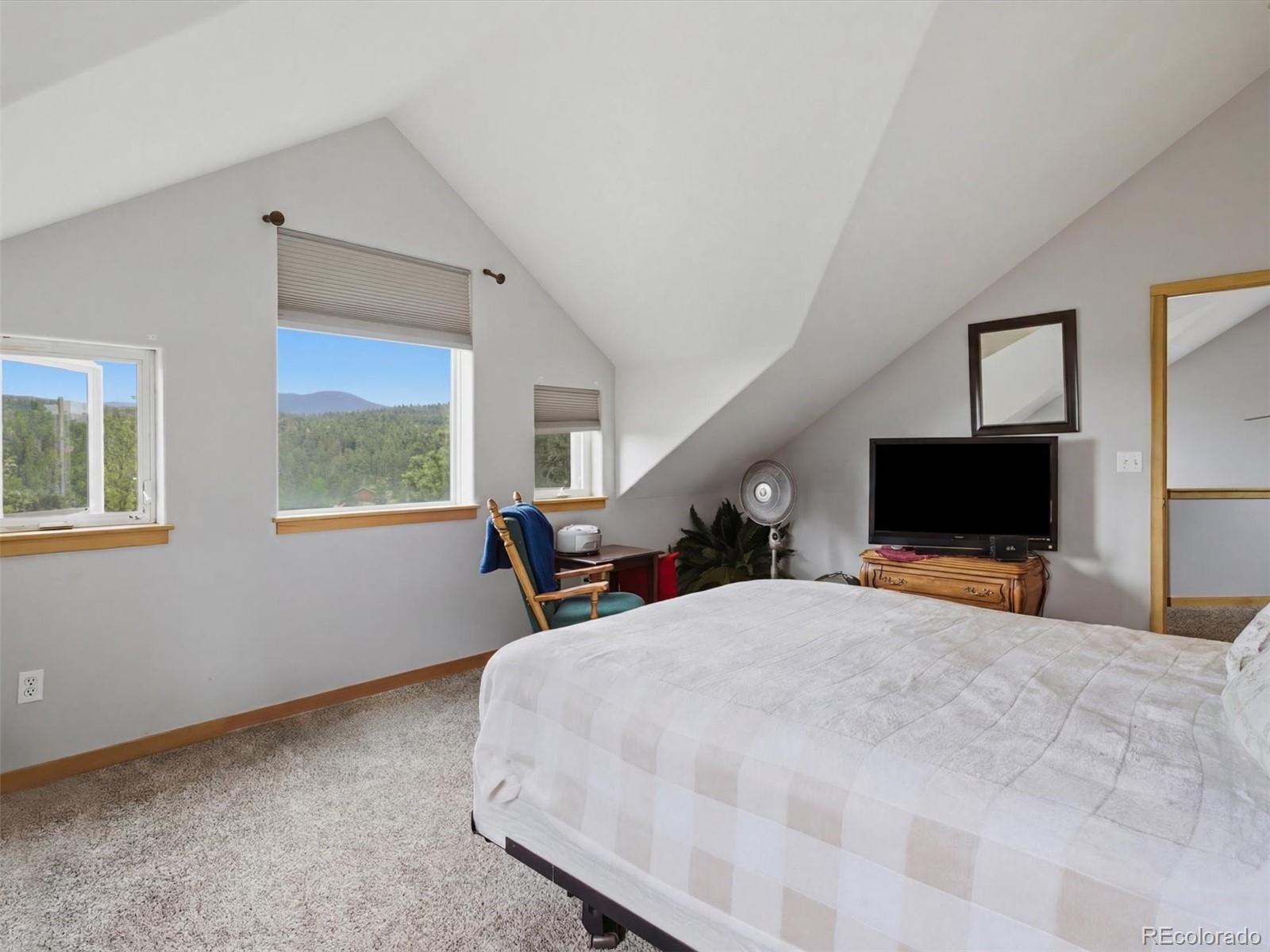 117 Spruce Trail Bailey, CO 80421 - Photo 18 of 47