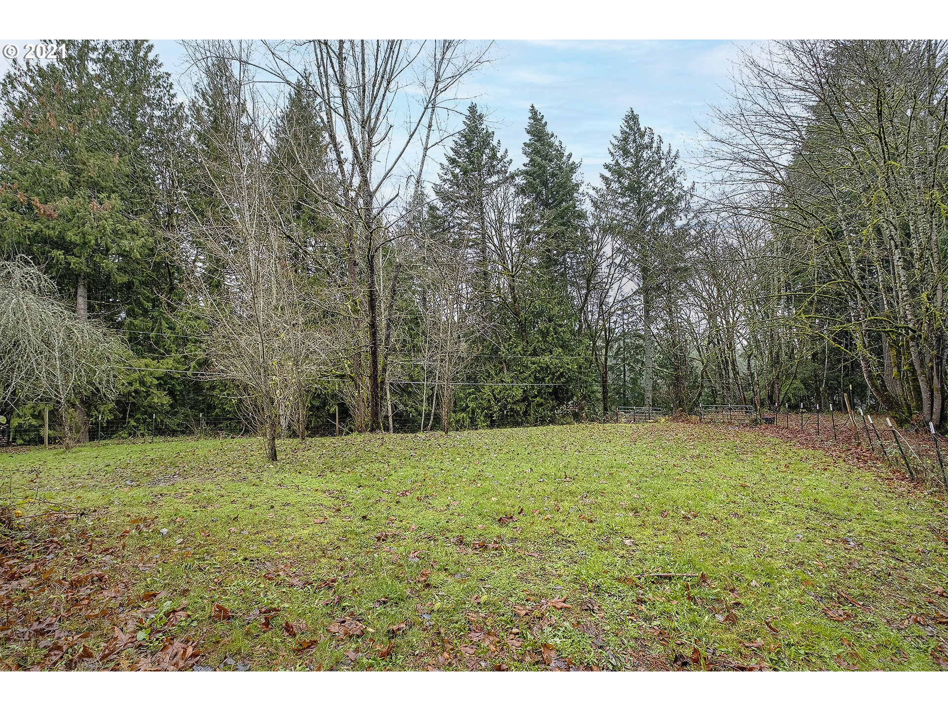 35520 Skogan Road Sandy, OR 97055 - Photo 21 of 25 a view of outdoor space with a yard