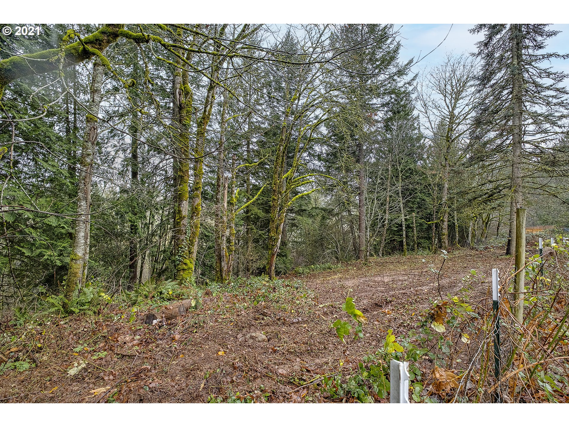 35520 Skogan Road Sandy, OR 97055 - Photo 22 of 25 a view of a yard with trees in front of it