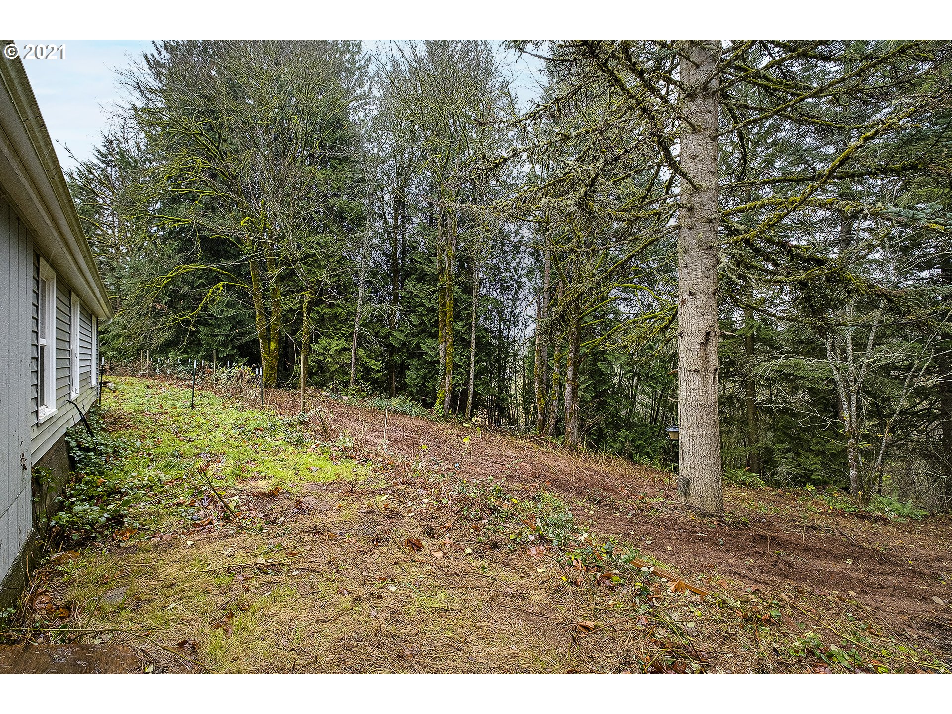 35520 Skogan Road Sandy, OR 97055 - Photo 23 of 25 a view of backyard with green space