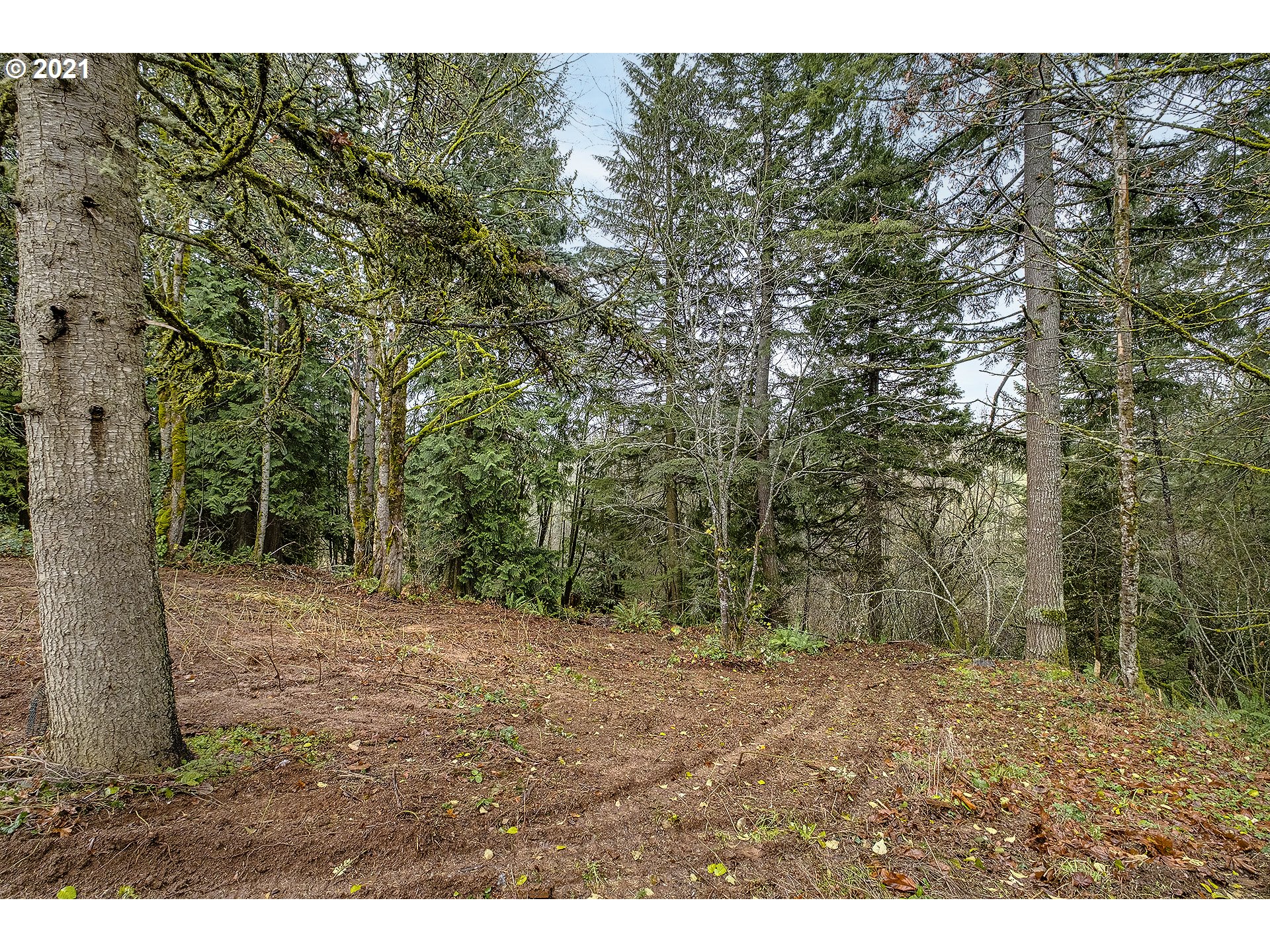 35520 Skogan Road Sandy, OR 97055 - Photo 24 of 25 a view of outdoor space and yard