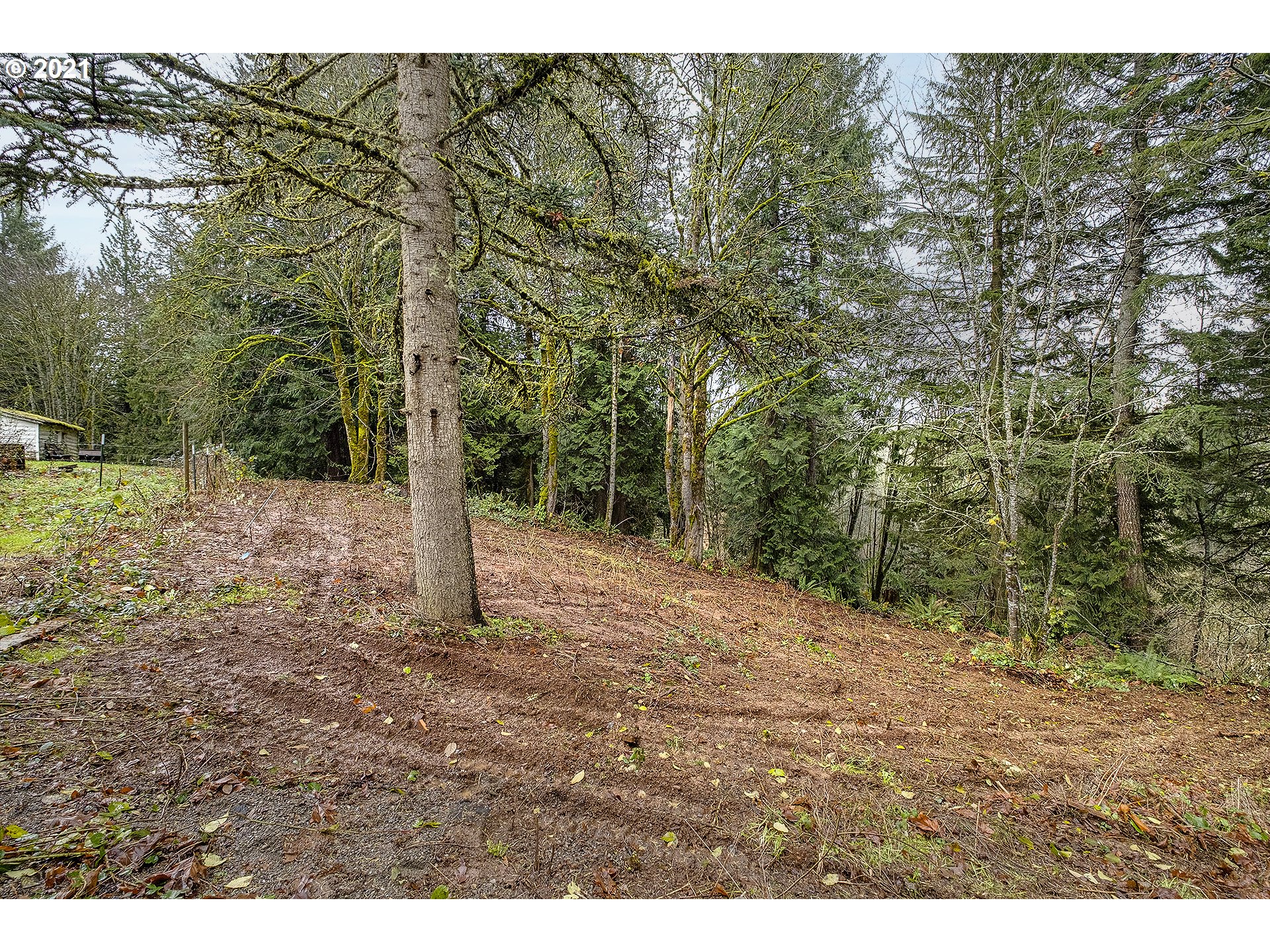 35520 Skogan Road Sandy, OR 97055 - Photo 25 of 25 a view of a field with trees in the background