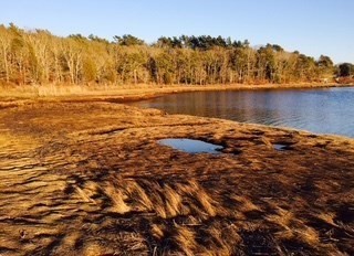21 Old Head Of Bay Road, Unit 1 Bourne, MA 02532 - Photo 12 of 20